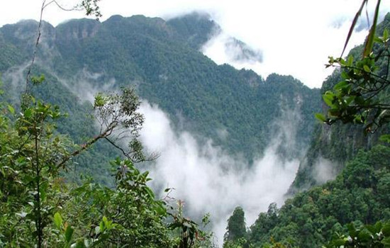 （11月）浙西大明山赏红枫（红枫、栈道、溶洞、草甸）、“韩式汗蒸水疗+美食航空母舰”2日